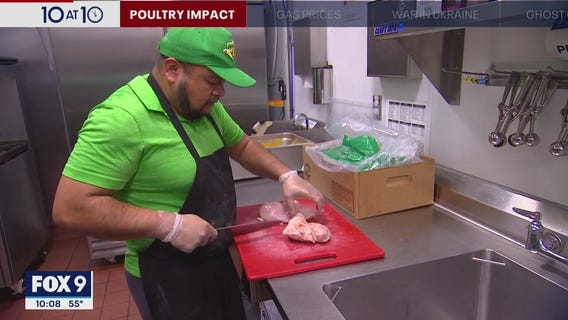 Expect higher poultry, egg prices as bird flu wipes out Minnesota flocks