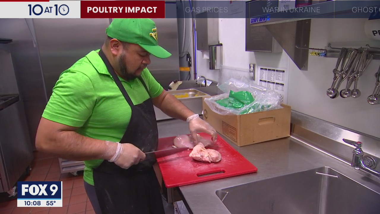 Expect higher poultry, egg prices as bird flu wipes out Minnesota flocks