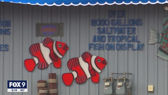 A World of Fish: Richfield tropical fish store owners ready for retirement