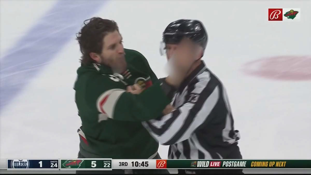 Wild fans donate $30K for Hartman?s fine, he?s giving it all to Children?s Minnesota