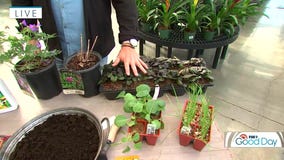 Garden Guy: Sustainable gardening tips