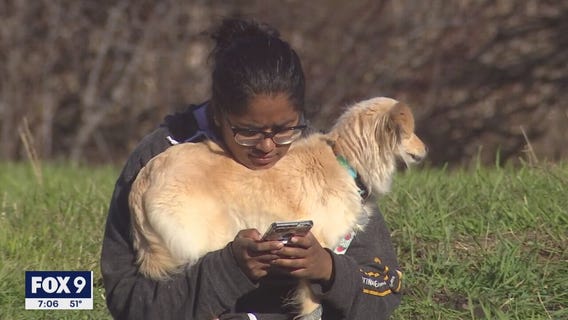 Why we Walk For Animals