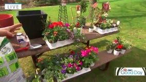Tips for container gardening in Minnesota