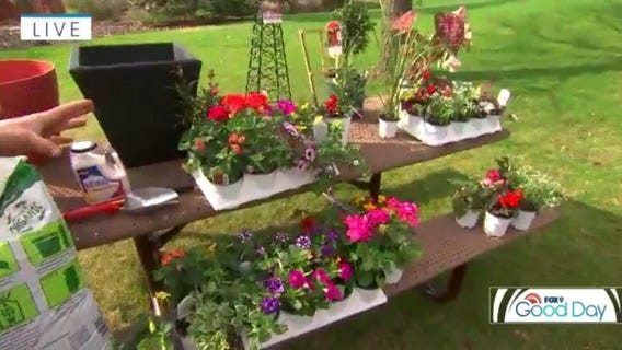 Tips for container gardening in Minnesota