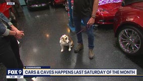 Cars and Caves in Chanhassen benefits local charities