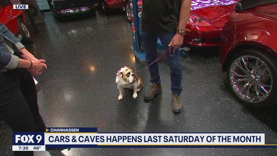 Cars and Caves in Chanhassen benefits local charities