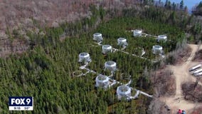 Minnesota's experimental forests used to study impact of climate change