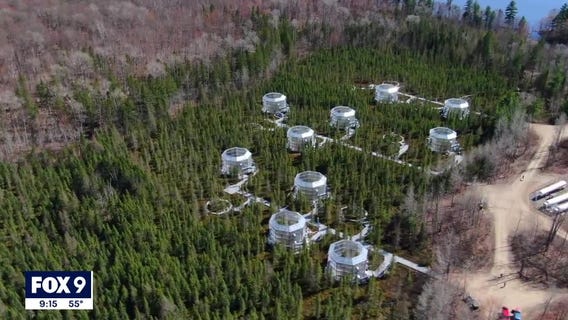 Minnesota's experimental forests used to study impact of climate change