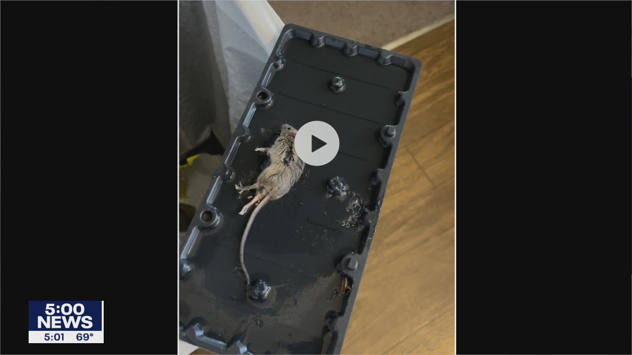 Brooklyn Park tenants upset with conditions inside Huntington Place apartments