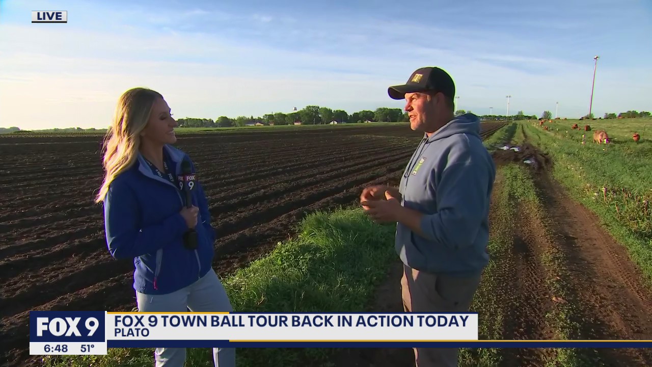 Cows, vegetables, and baseball...welcome to Plato!