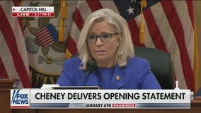 Cheney: President Trump said Pence 'deserved' hanging