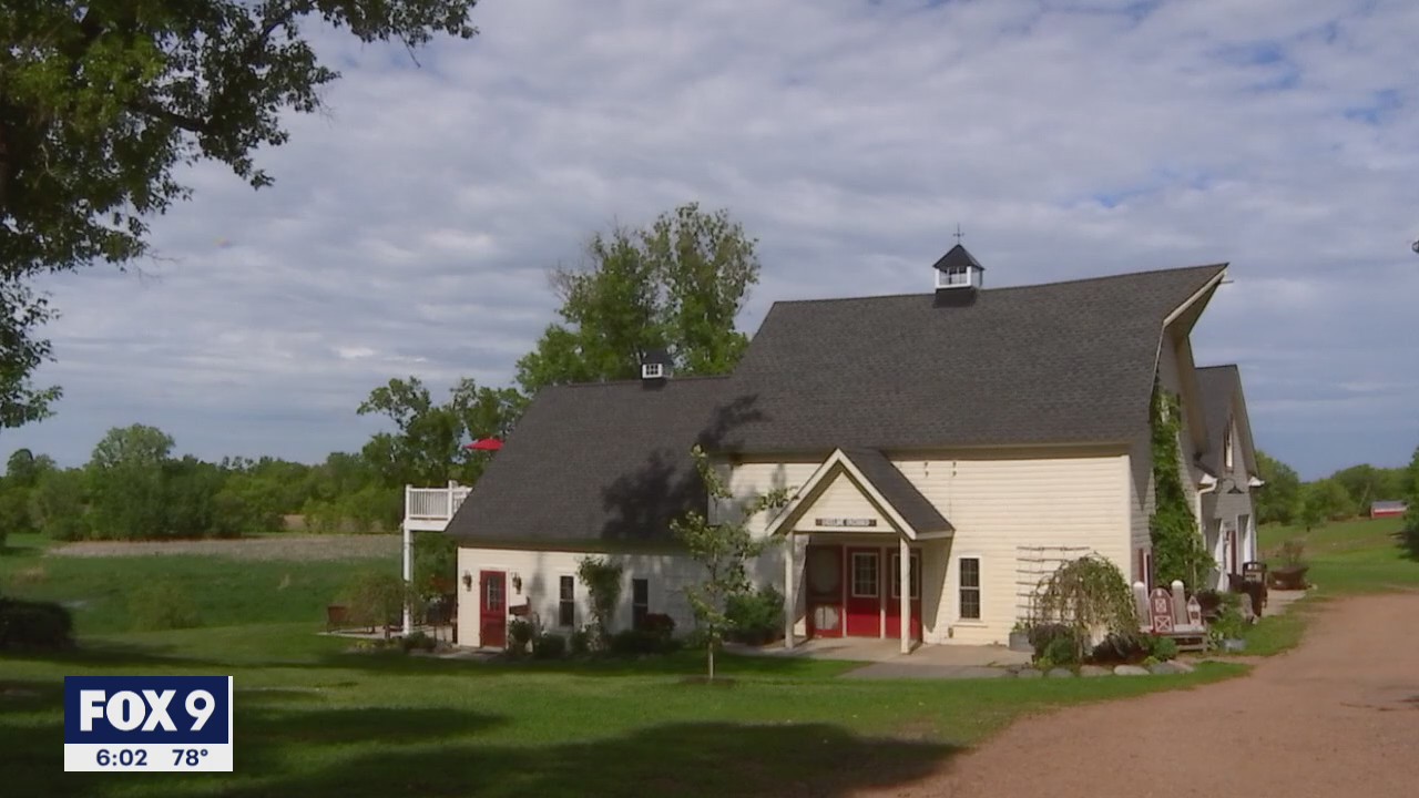 Town Ball Tour: Exploring Watertown businesses