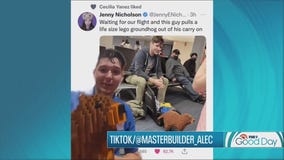Man goes viral for traveling with emotional support groundhog made of LEGOs