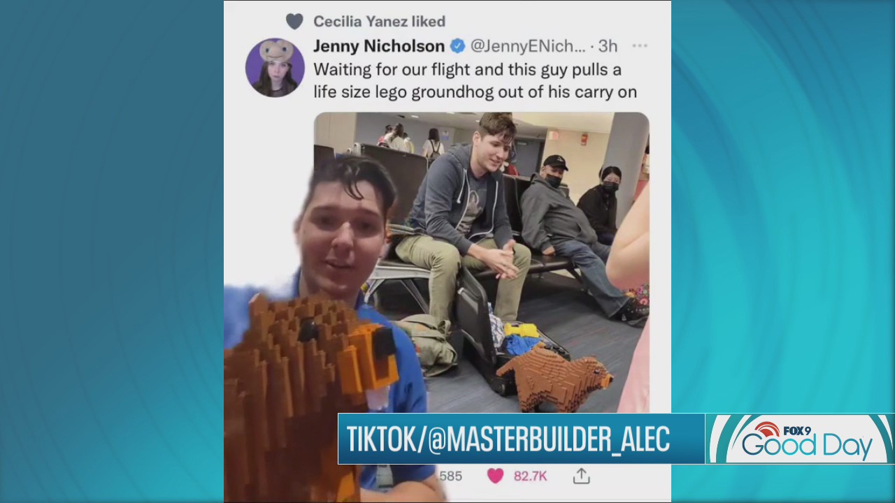 Man goes viral for traveling with emotional support groundhog made of LEGOs