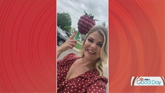 Hopkins, Minnesota is a perfect day trip in the Twin Cities