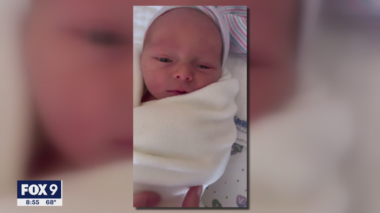 FOX 9's newest family members | KMSP