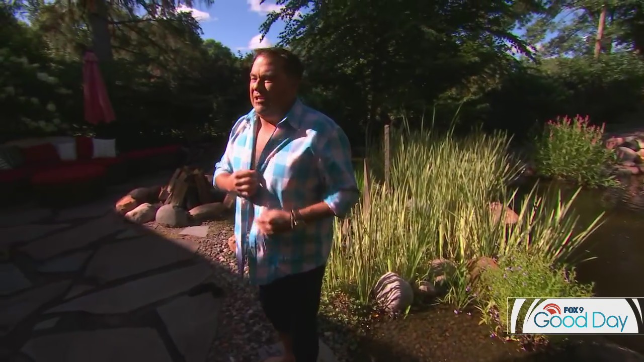 Garden Guy Dale K hops into water garden on FOX 9 Good Day