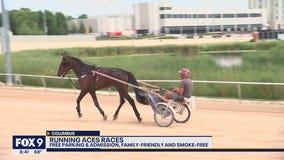 Celebrating 15 years of harness racing at Running Aces
