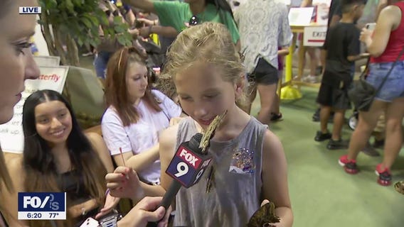 Inside the Butterfly House at the Minnesota State Fair