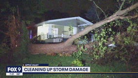Saturday night storms take down trees, cause chaos at MN State Fair