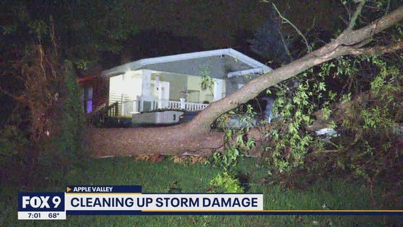 Saturday night storms take down trees, cause chaos at MN State Fair