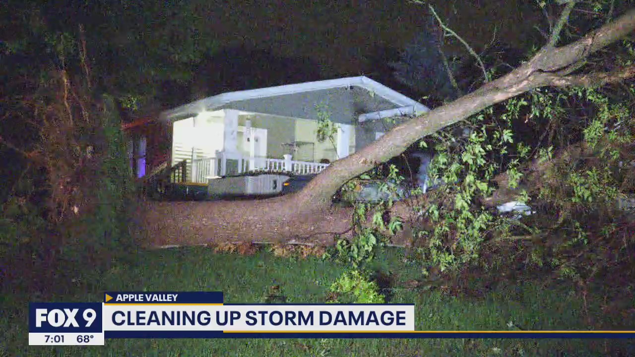 Saturday night storms take down trees, cause chaos at MN State Fair