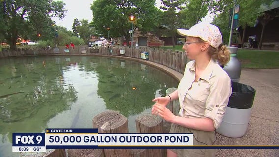DNR Fish Pond offers nature fix at Minnesota State Fair