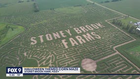 Minnesota farm home to world's largest corn maze