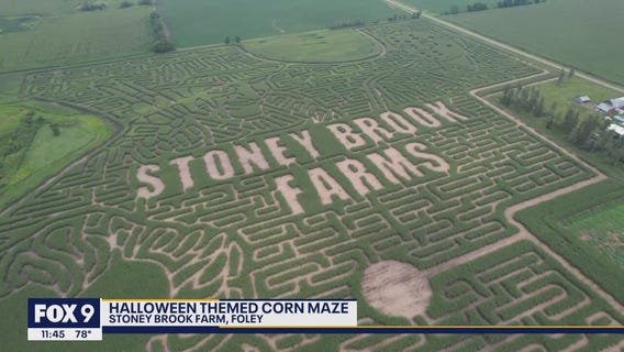 Minnesota farm home to world's largest corn maze