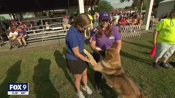 Minnesota State Fair: Jennifer McDermed meets four-legged fans