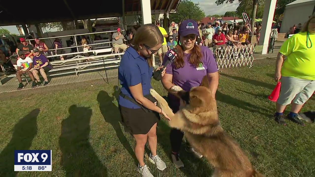Minnesota State Fair: Jennifer McDermed meets four-legged fans