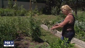 Community farm continues to give back