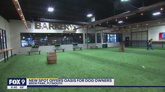 Indoor dog park, restaurant opens in Plymouth