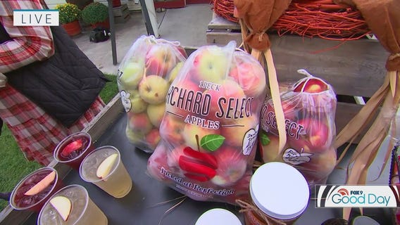 Pick-your-own apples at LuceLine Orchard in Watertown