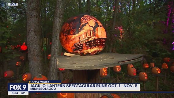 Jack-O-Lantern Spectacular at Minnesota Zoo