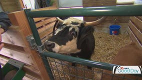 Eagle Eye Farms gets a visit from Shayne