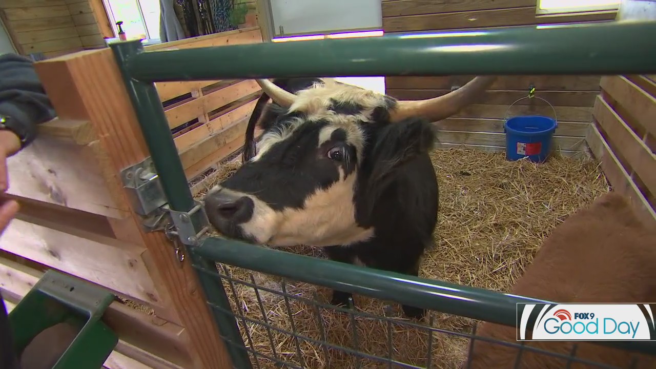 Eagle Eye Farms gets a visit from Shayne