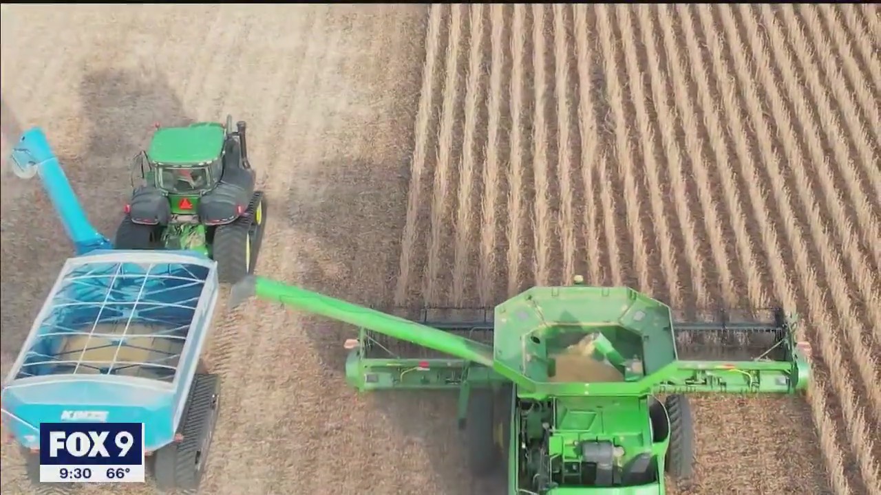 Farmers harvest crops after another dry growing season