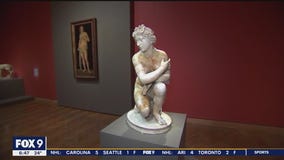 Rare Botticelli exhibit makes its way from the Uffizi to Mia