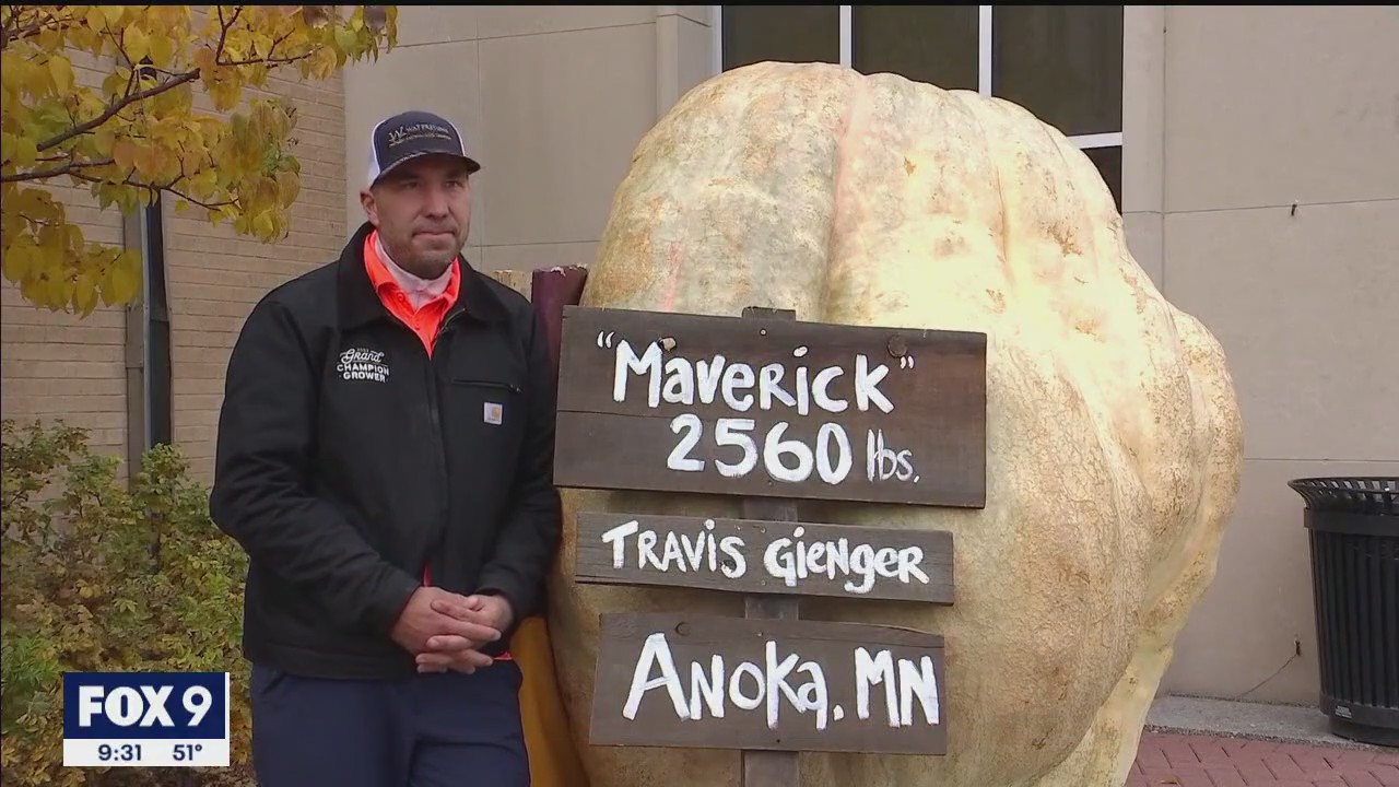 Massive Anoka pumpkin to be carved into world?s largest jack-o-lantern
