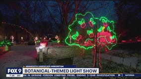 Layer up for a visual walk through Winter Lights at the Arb