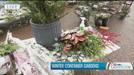 Winter container garden tips from FOX 9's Garden Guy