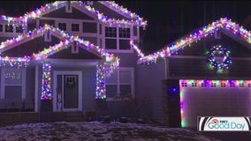 Simple tips for decorating your landscape for the holidays