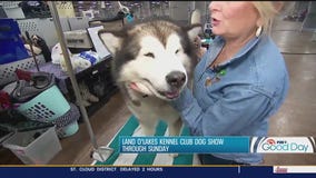 Best in Show: Land O'Lakes Kennel Club Dog Show this weekend