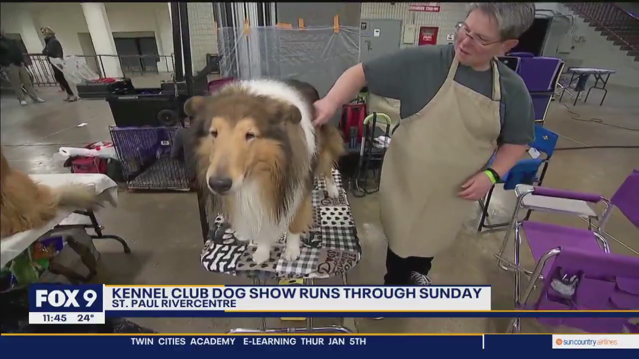 Land O'Lakes Kennel Club Dog Show in St. Paul this weekend