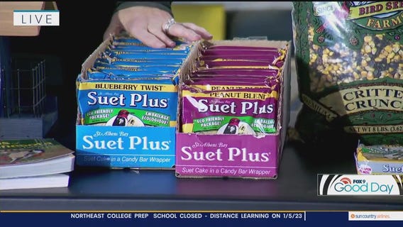 Creating the perfect birdseed blend