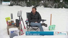 Winter gardening checklist to prep for spring: Garden Guy