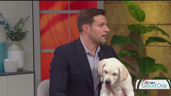 Pet hacks from Dr. Eric Ruhland