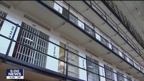 Minnesota Supreme Court decision on felon voting rights