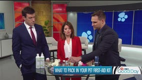 What to pack in your pet first-aid kit